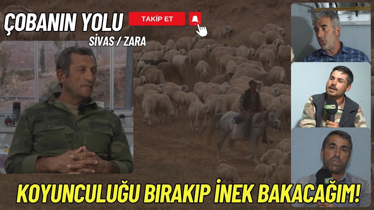 SİVAS ZARA'DA KÜÇÜKBAŞ HAYVANCILIK I ÇOBANIN YOLU