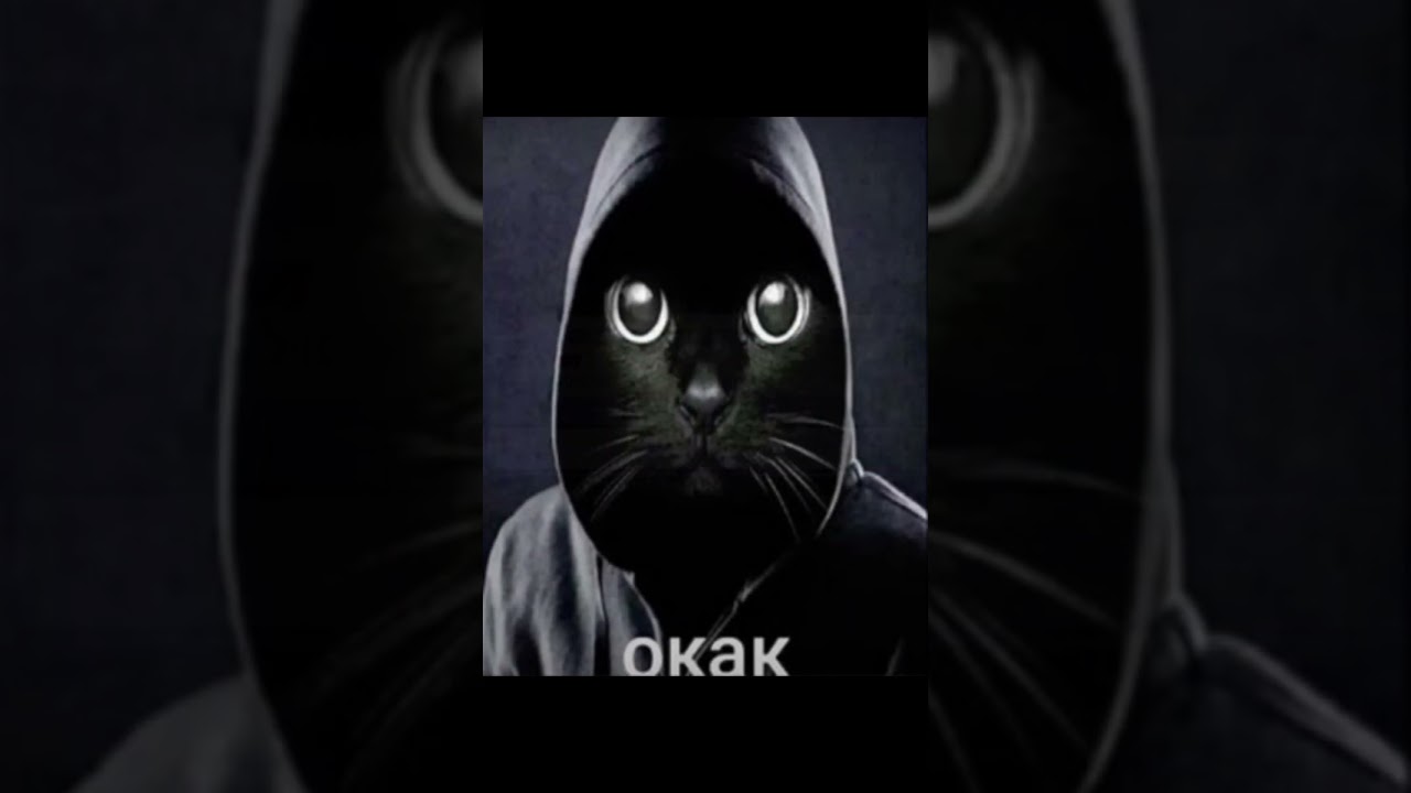 один из самых редких багов (мое мнение) 