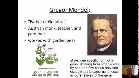 3.1 Genes video notes