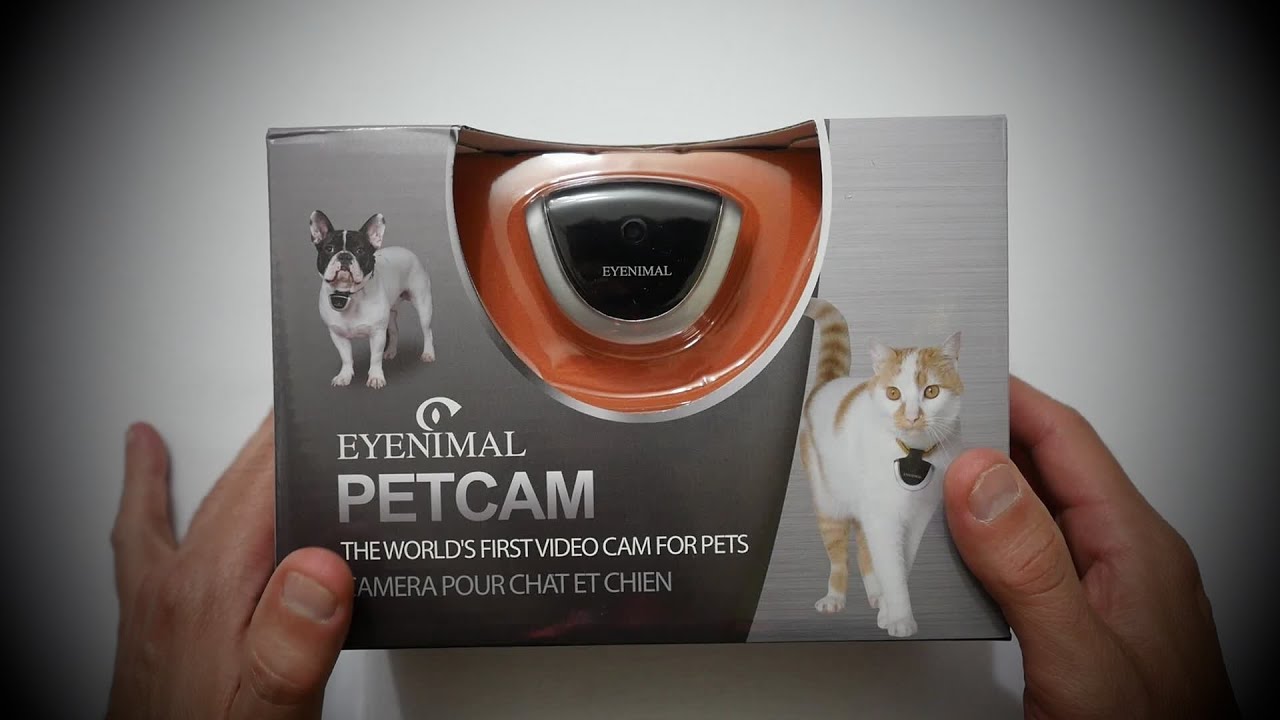 eyenimal dog videocam