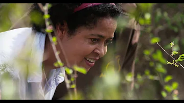 VULTURINE GUINEA FOWLS S.1 E.4