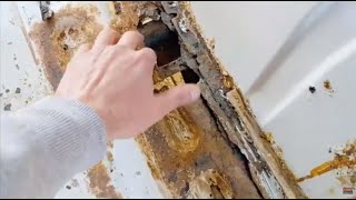 Deep Clean & Repair Disaster Project on 14 Year Old Iveco Daily