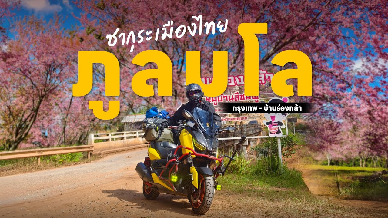 EP.176 ขี่มอเตอร์ไซค์เที่ยว บ้านร่องกล้า ภูลมโล ซากุระเมืองไทย XMAX 300