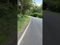 Hutan jati Blora