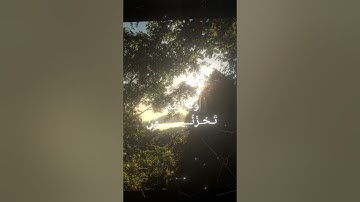 سورة الزخرف|| اية ٦٧ الى ٧٠ بصوت القارئ محمد اللحيدان #المصحف #قرآن_كريم #محمد_اللحيدان
