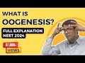 Oogenesis - Human Reproduction - Dr  Rajeev Ranjan | NEET | Video Lectures