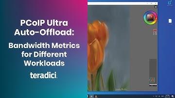 Introducing PCoIP Ultra Auto-Offload: Bandwidth Metrics for Different Workloads
