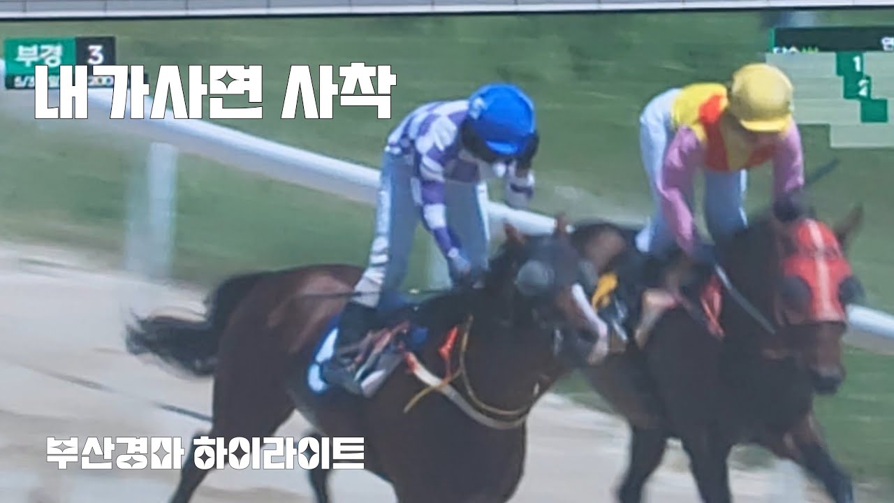 경마가 그런거야? 엉! 그런거란다^^