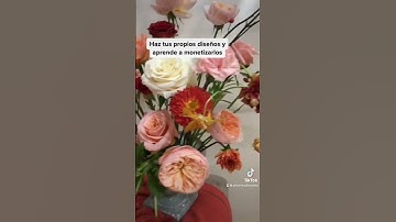 Thumbnail of Emprender tu propio negocio de flores #pimientaylavanda #emprendeconflores #carminacolin #florista ￼