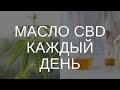 Что БУДЕТ, если принимать каждый день МАСЛО с КБД