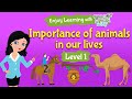 The Importance Of Animals In Our Environment