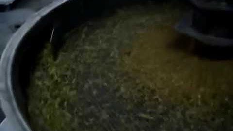 Demonstration of Kason Vibroscreen Circular Vibratory Screener Separates Grains