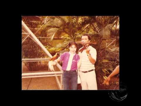 สำนึกตัว-ก็สายไป
