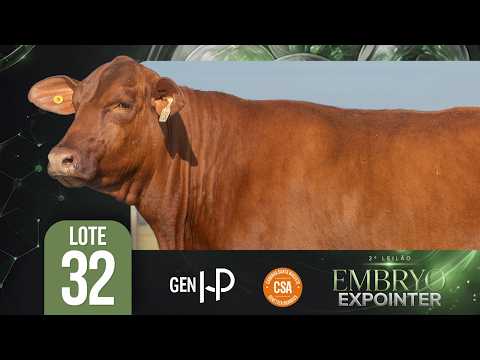 LOTE 32 GEN HP R154