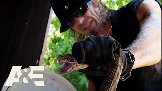 Billy the Exterminator: Billy's Barely Alive After Battle with BIG Rattlesnake | A&E