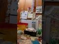 my small spring #minivlog #art #diy #craft
