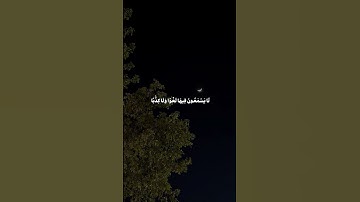 {حَدَآئِقَ وَأَعۡنَٰبٗا} سورة النبأ | القارئ : جابر القيطان 🤍.