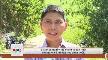 [TIẾNG BRU VÂN KIỀU] CHÚ TRỌNG CÔNG TÁC NGHỀ CHO LAO ĐỘNG MIỀN NÚI | VTV5