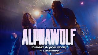 Video thumbnail of "Alpha Wolf - bleed 4 you (Live in Melbourne feat. Lizi Blanco)"