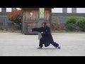 Wudang kung fu  mantis dragon and snake forms