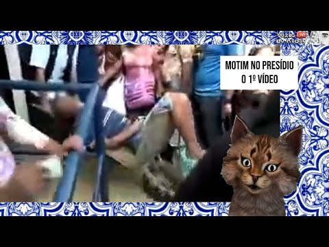 Gato Malaiko] - 10 Vídeos #01 