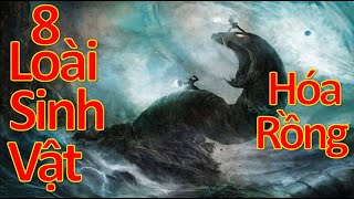 8 loài sinh vật có thể Hóa thành Rồng trong truyền thuyết