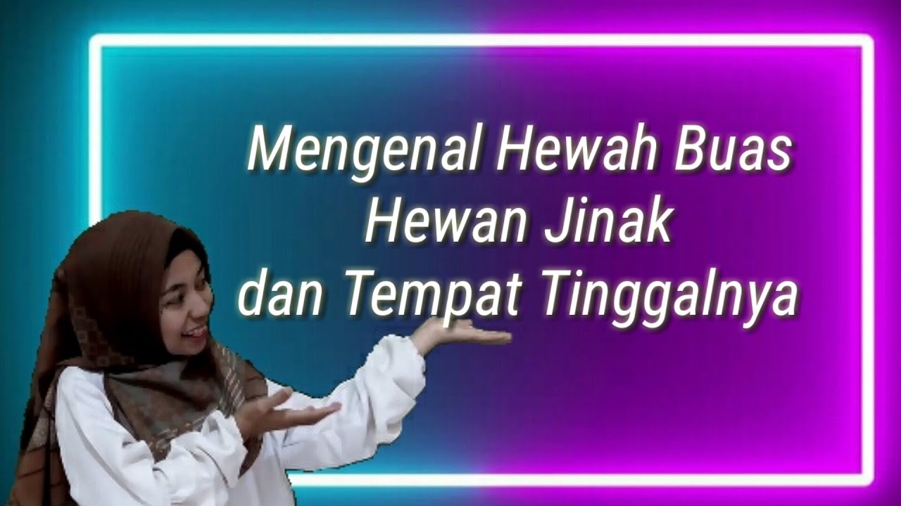 Mengenal Hewan  Buas  Hewan  Jinak dan Tempat Tinggalnya 