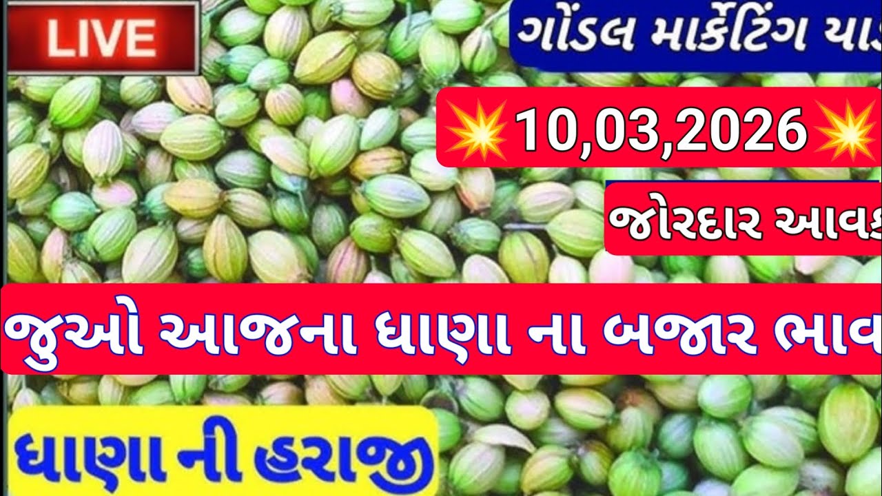 ગોંડલ નવા ધાણા ના બજાર ભાવ / નવા ધાણા ના બજાર ભાવ / નવા ધાણા ના ભાવ / 10,03,2026