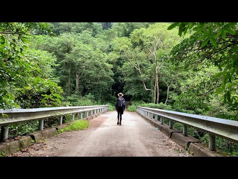 白毛山 | Solo Hiking | 孤單爬山廢人