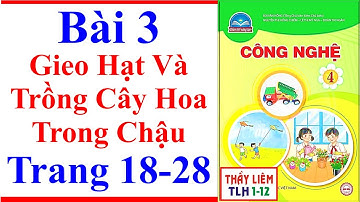 Công Nghệ Lớp 4 Bài 3 | Gieo Hạt Và Trồng Cây Hoa Trong Chậu | Trang 18 – 28 | Chân Trời Sáng Tạo