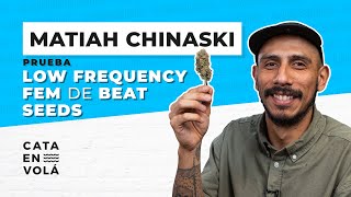 MATIAH CHINASKI ON CATA EN VOLÁ