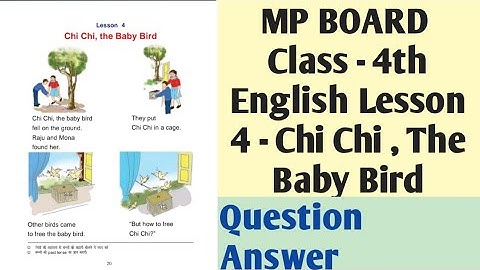 Class - 4th | MP Board | English | Chapter 4 - Chi Chi , The Baby Bird | Question Answer