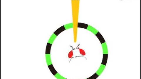 Visually Mediated Odor Tracking During Flight in Drosophila