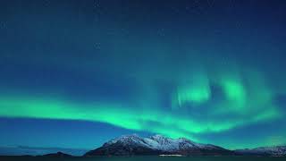 Christmas in Tromso (Tromsø) Norway: Winter, Polar Night, Northern Lights &amp; dog sledding fun