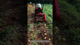 Maximize Large Scale Root Crop Yields with Automated Potato Harvester Machinery