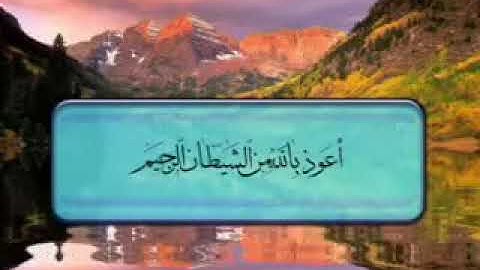 سورة الرحمن| عامر الكاظمي