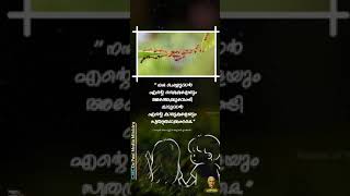 Status   Waves Of Christ  Csc De Paul Media Ministry 2024