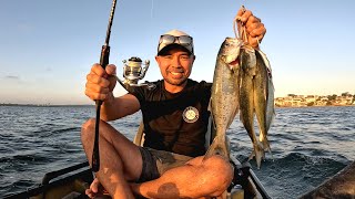 Tailor Fishing: Reusing Whitebait on a Jig Head! CATCH AND COOK...