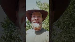 Schicht 2 Des Waldgartens