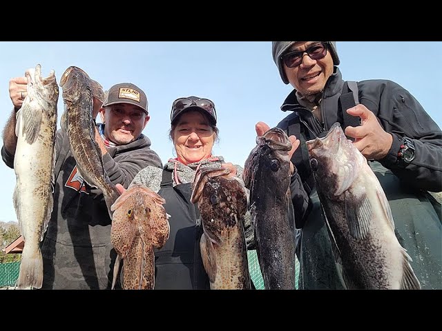 These Saltwater Lures Catch Big Fish Oregon Rockfish 3 