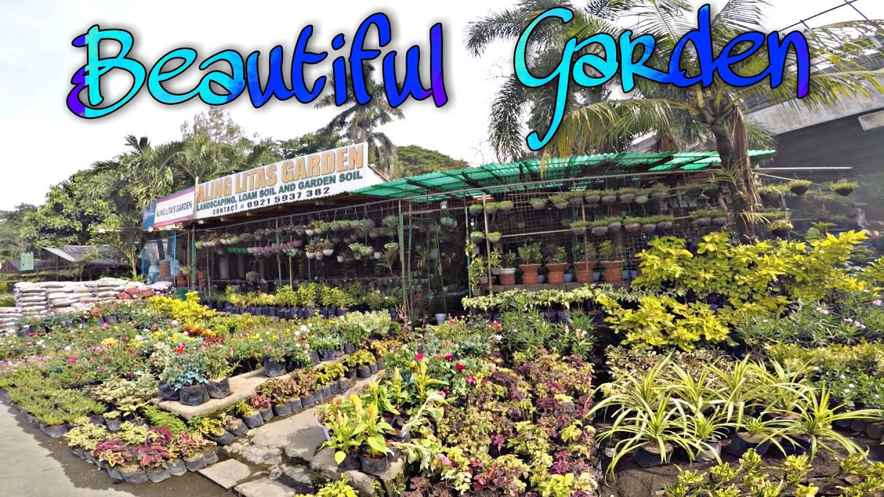 Flower Shop in Bulacan (Philippines) YouTube