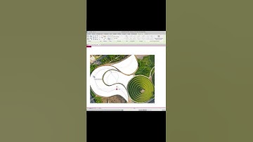 Split Spline Short