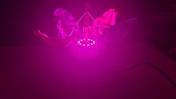 Auto Blooming Luminary Artifact