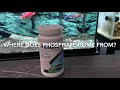 How to Remove Brown Algae/Diatoms from the Aquarium