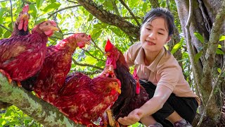 Harvest Forest Chicken Goes to the market sell | Ella Daily Life
