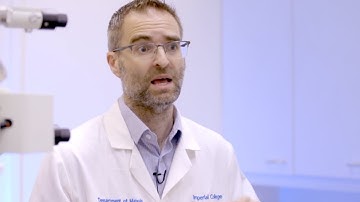 Studying Materials Science and Engineering with Nuclear