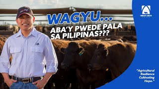 VIABILITY OF WAGYU BRAHMAN CROSS IN THE PHILIPPINES