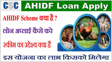 CSC AHIDF Loan Apply Kaise Kare | AHIDF Scheme क्या है ? इस योजना का लाभ किसको मिलेगा |