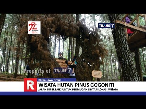 Trans7 Jawa Timur Wisata Baru Blitar Hutan Pinus Gogoniti