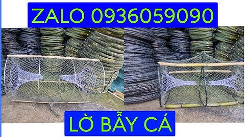 Lờ bẫy cá lóc. Lờ đặt cá lóc. Lờ bẫy cá. Lờ bẫy cá vành nhựa. Lờ bẫy cá cải tiến. Bán lờ cá lóc.